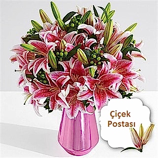 Fantastik pembe 