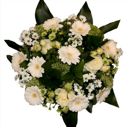 Gerbera, Santini, Celosia, krem gü