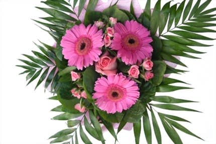 Pembe güller ve gerberalarla hazı