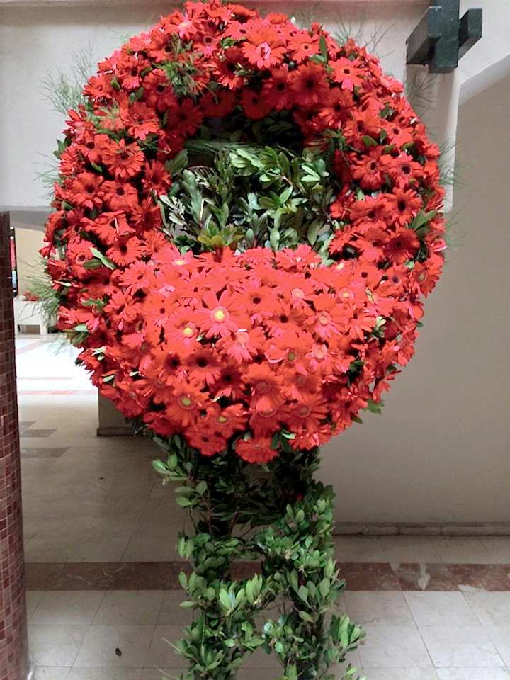 Kırmızı mevsim çiçeklerinden h