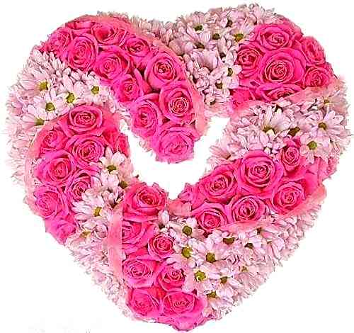 41 pembe gül ve papatyalar ile haz